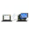 razer gold
