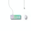 razer mouse